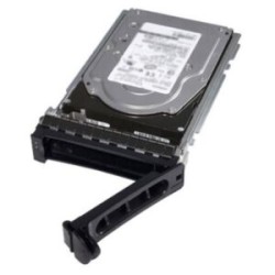 Disco duro Dell 2TB 7.2K RPM SATA 6Gbps 512n 3.5? Hot-plug Hard Drive