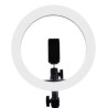 Aro de Luz Game Factor LGR300 26 cm Streaming Cálido y Frío Ajustable USB